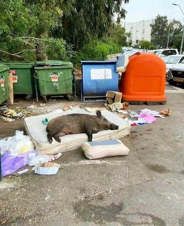 Vidim krevet, ja legnem