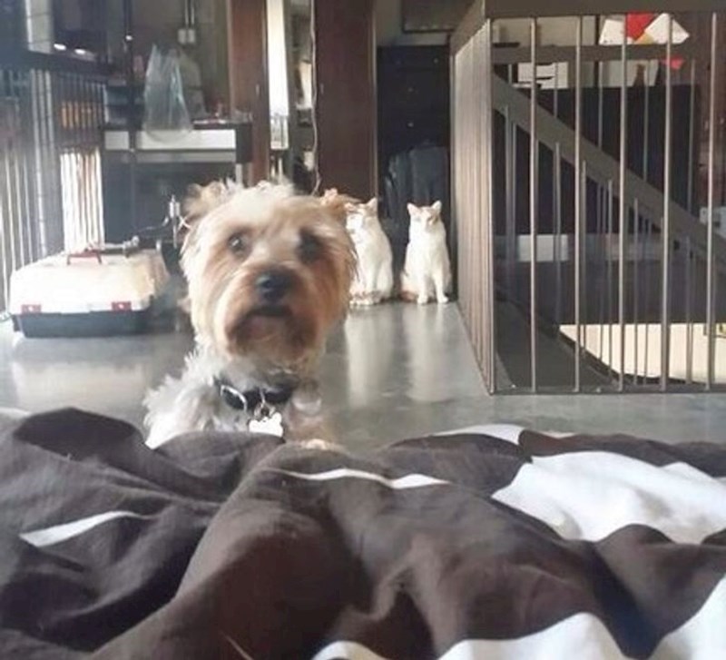 Iza mene su, zar ne??