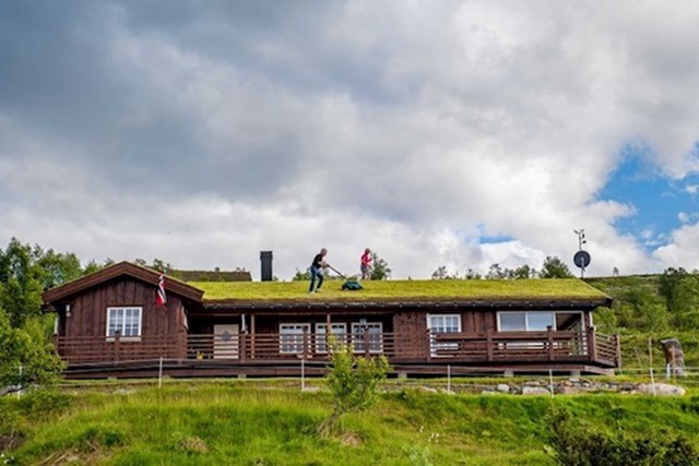 Ovako Norvežani kose travu u kasno proljeće