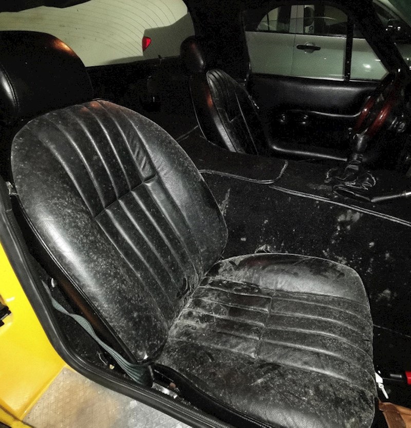 Išao sam provozati svog oldtimera i shvatio da ga je napala plijesan