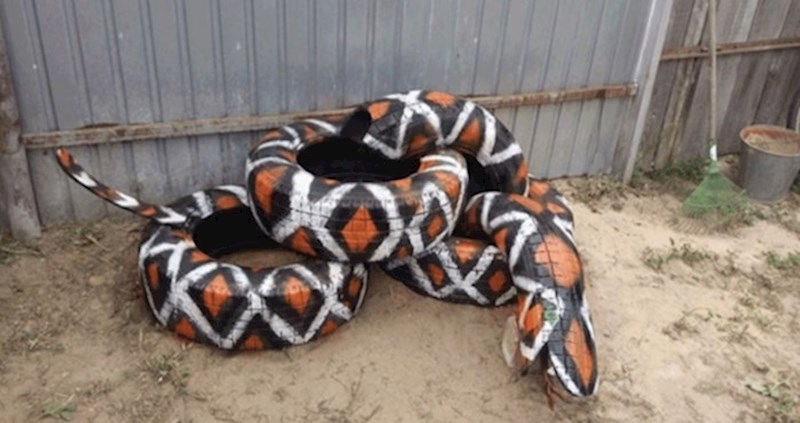 Ljudi dijele najbizarnije stvari koje su vidjeli u tuđim dvorištima