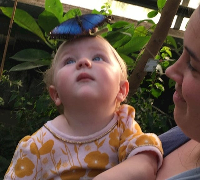 “Moja kćer je imala cvijet na traci za glavu i na nju je sletio leptir!”