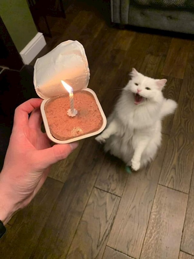 Netko voli rođendane