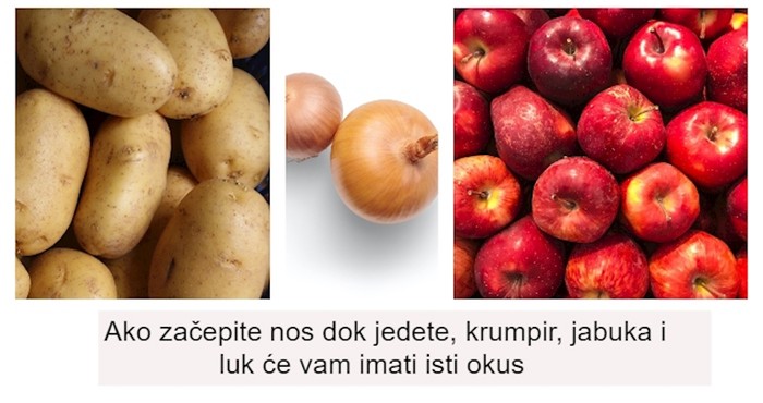 8 zanimljivih činjenica koje sigurno niste znali