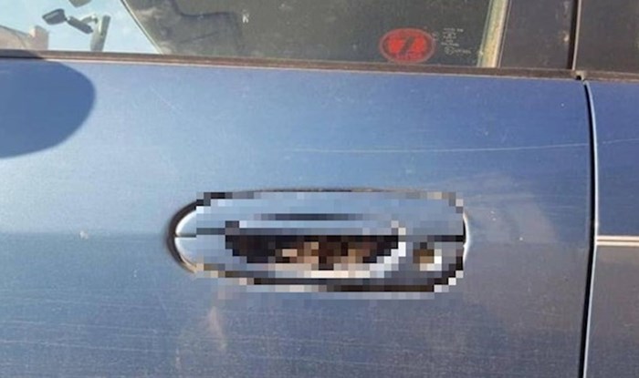 Vlasnik automobila još uvijek je u šoku od scene koja ga je zatekla na vratima