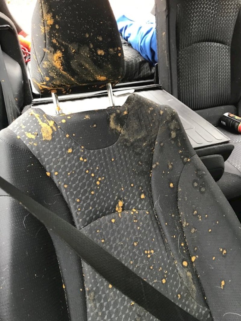 Pas je imao eksplozivni proljev dok smo bili na autocesti