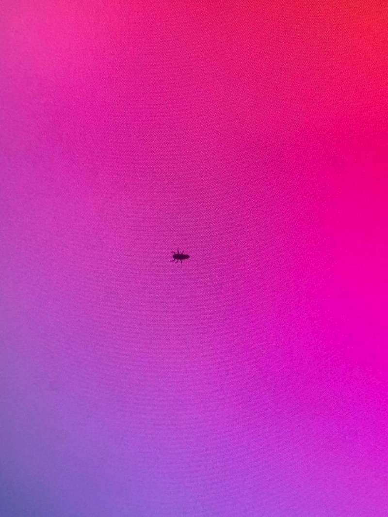 Kukac je ušao u novi ekran od 2 tisuće kuna