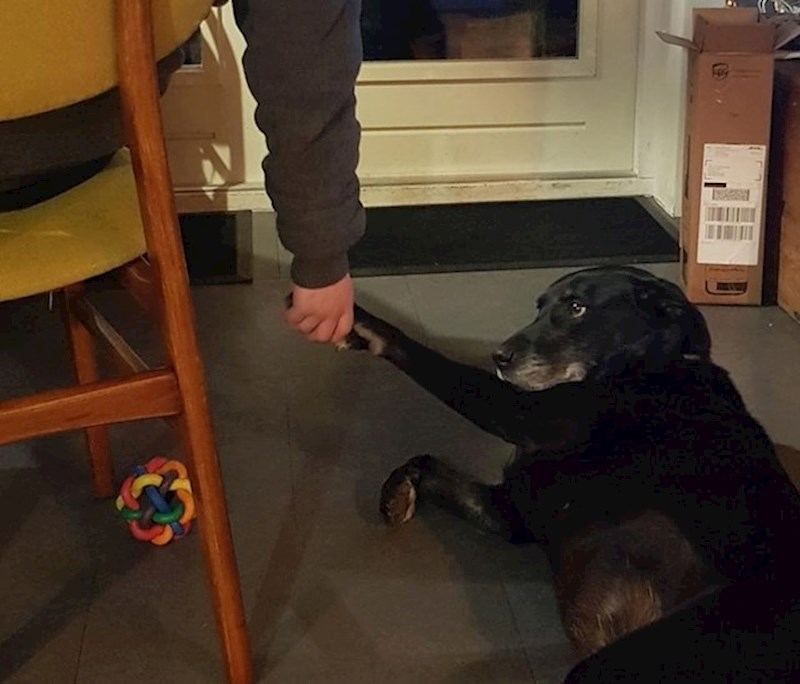 Kad je nervozan ili se boji, ovo ga odmah smiri