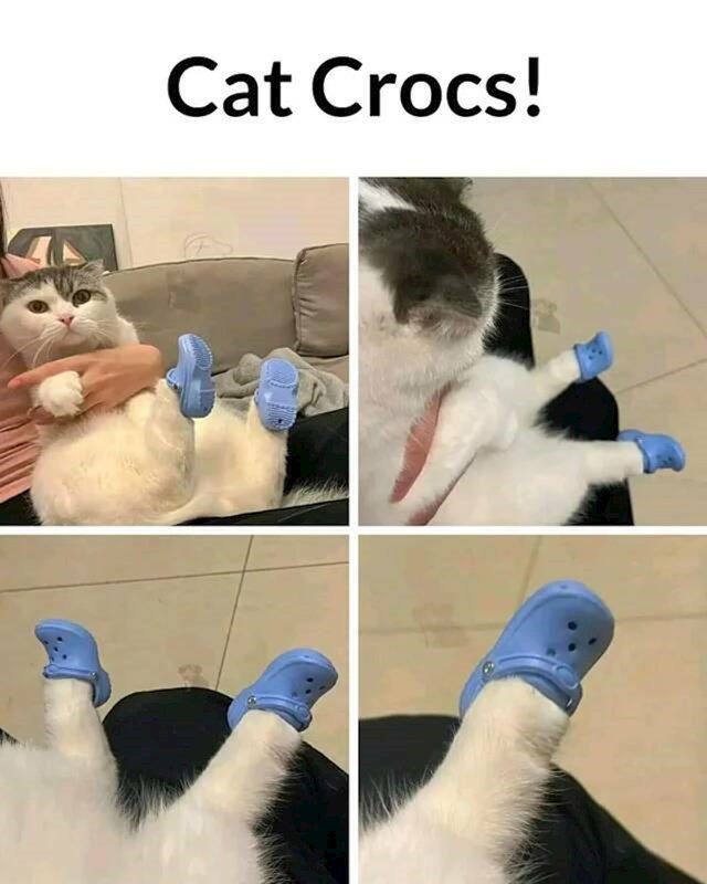 Crocsice za mačke