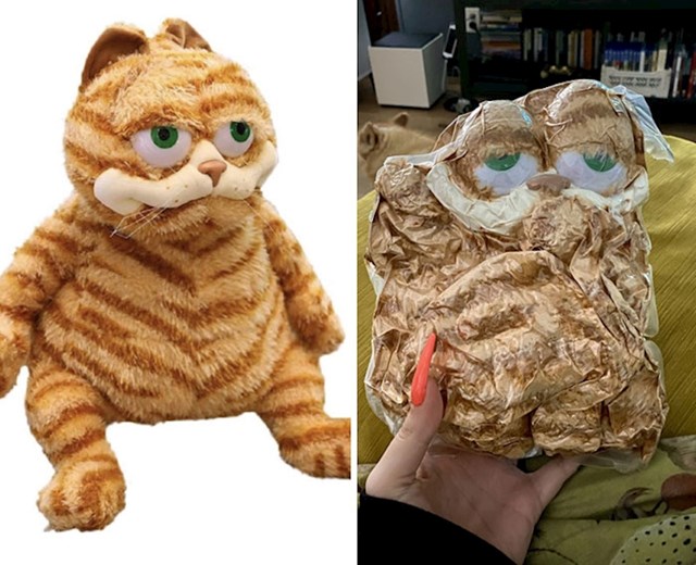 Naručila sam si Garfielda koji i tako izgleda malo čudno, a onda je došao vakumiran u vrećici i dobro me prepao
