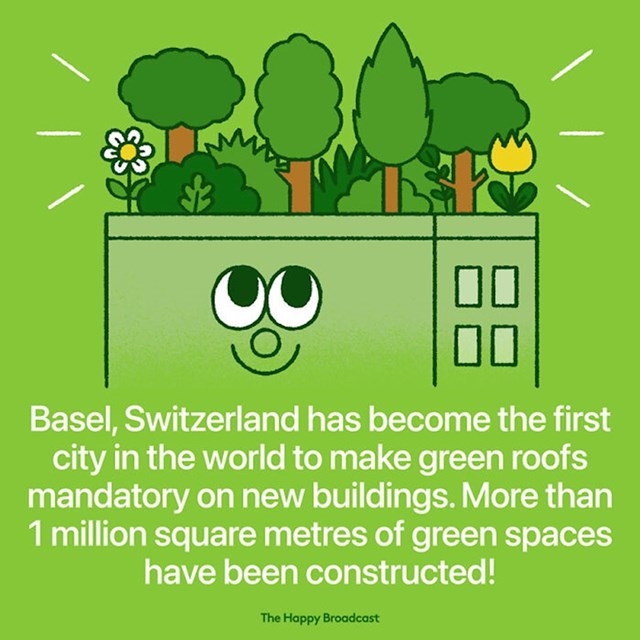 Basel je postao prvi grad u kojem je obavezno graditi zelene krovove na svim novim zgradama