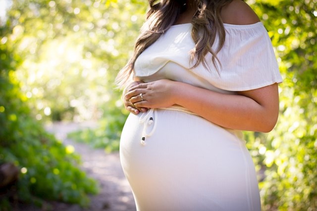 Svaka trudnica za vrijeme trudnoće dobije 550 dolara mjesečno za medicinske troškove