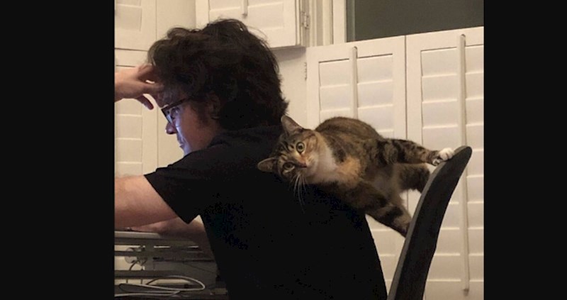 20 fotki životinja za koje jednostavno ne postoji logično objašnjenje