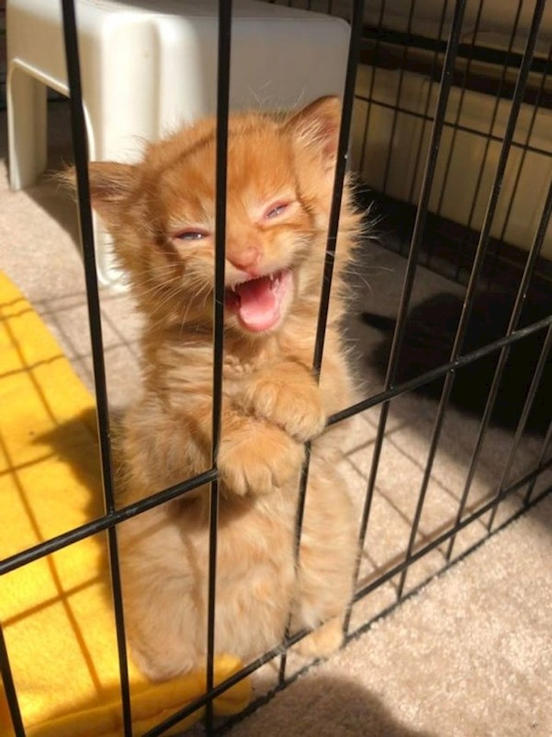 Sve bi napravila za malo pažnje