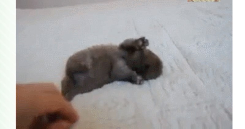 Pripremite kantu u koju ćete se rastopiti