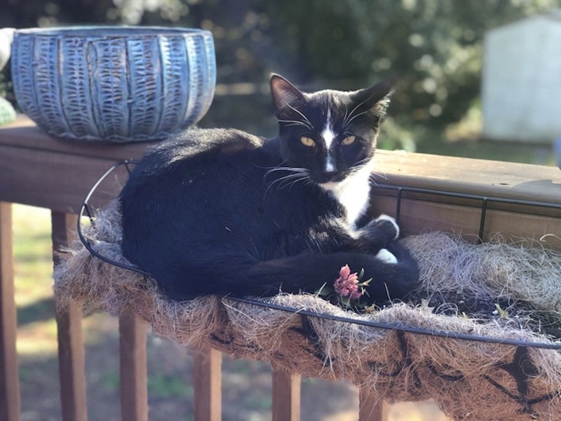 Uništila mi je svo cvijeće, sjela i gleda me