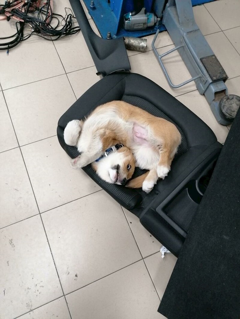 Ne, ne, sve je ok, ja volim ovako