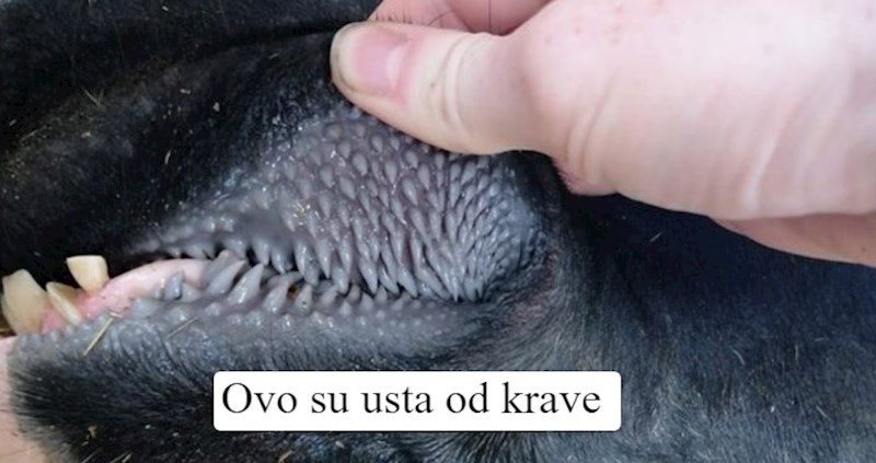 12 super zanimljivih fotki koje pokazuju skrivenu stranu običnih stvari