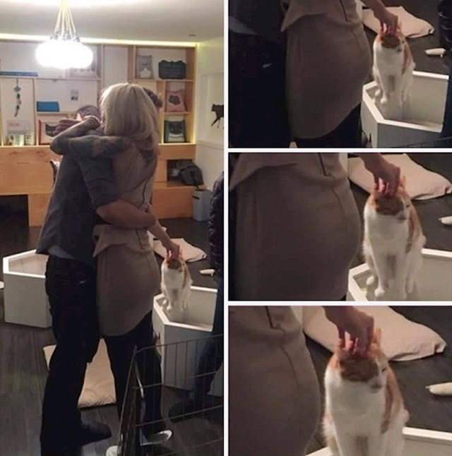 Prava ljubav
