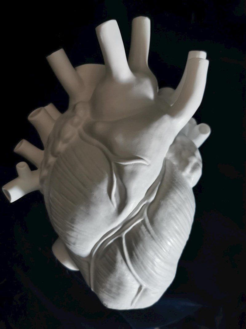 Ova vaza bi jedini dom mogla pronaći u uredu nekog kardiologa