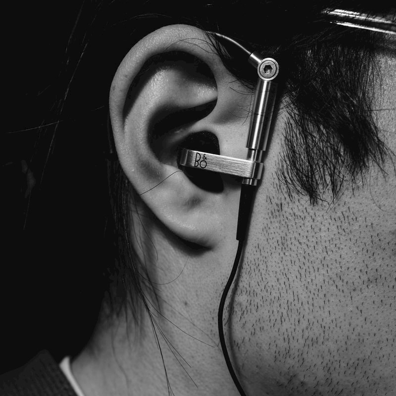 Vodite brigu o ušima