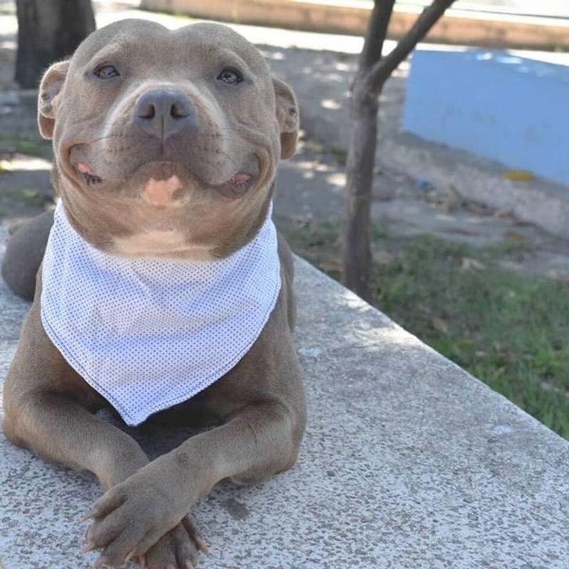 Kako je sretna i zadovoljna