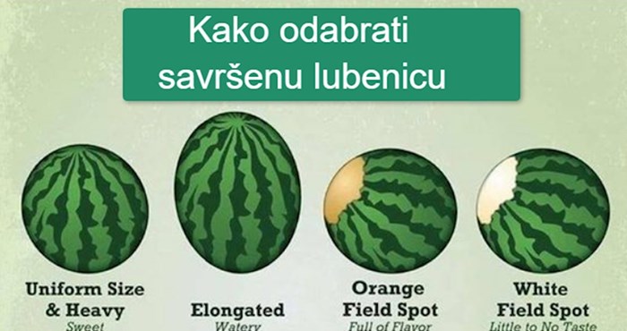 Ova odlična infografika pokazuje kako uvijek odabrati savršenu lubenicu