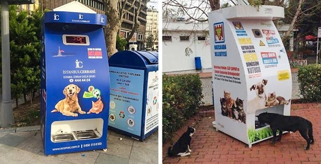 Još jedan primjer brige o životinjama može se vidjeti s ovim pametnim hranilicama za ulične pse i mačke koje su postavljene po gradu.