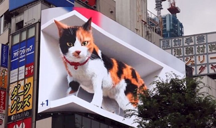 U Tokiju se dogodila budućnost oglašavanja, milijuni u šoku gledaju ovaj oglas s mačkom