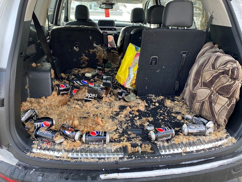 Zaboravio je na Pepsi limenke i ostavio auto na minus 20