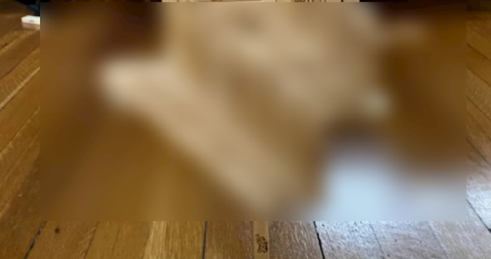 Ovo je nemoguće! Internet u čudu kako je tip složio Jenga blokove