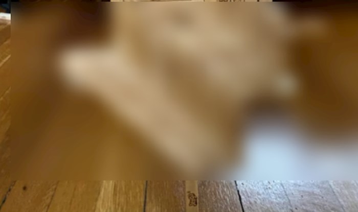 Ovo je nemoguće! Internet u čudu kako je tip složio Jenga blokove