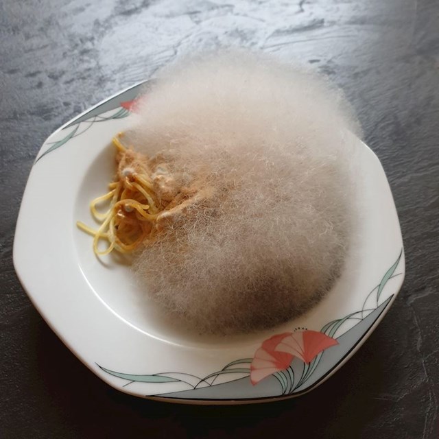 Zaboravila je špagete s gljivama u mikrovalnoj. Nakon tri dana našla je ovo