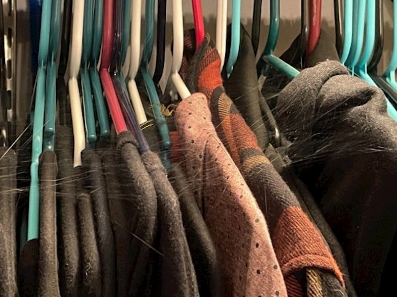 Došla sam kući s odmora i zatekla ovo