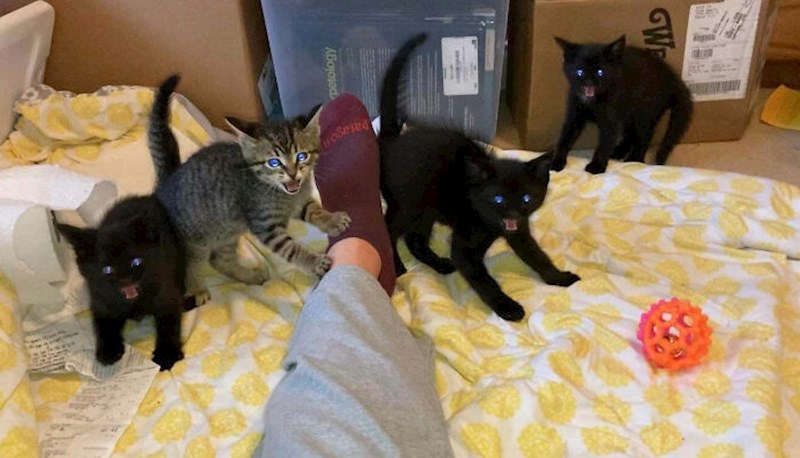 Kihnuo sam i svi su se prepali 😆