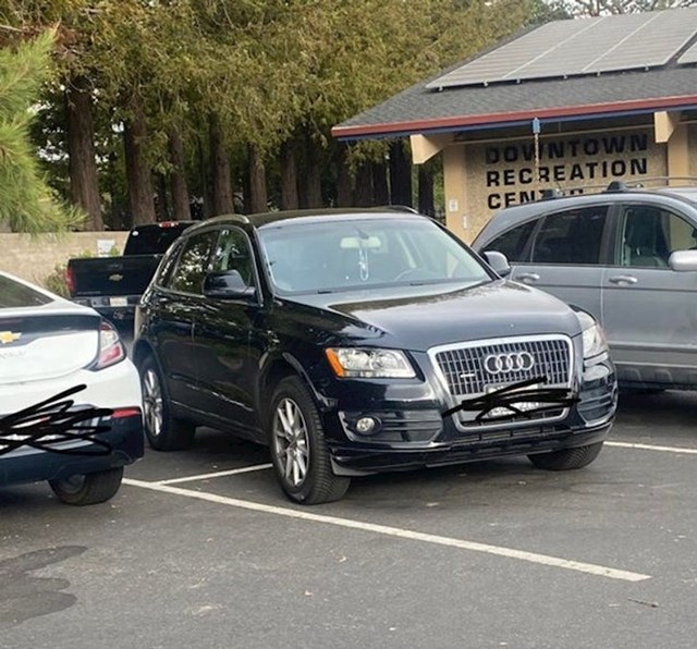 Sramim se reći da poznajem osobu koja je ovako parkirala