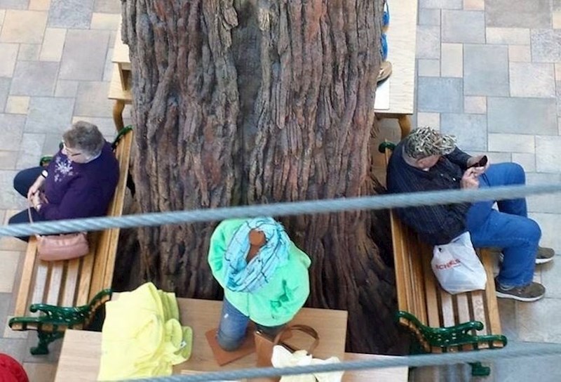 Moji baka i djed čekaju jedno drugo u shopping centru