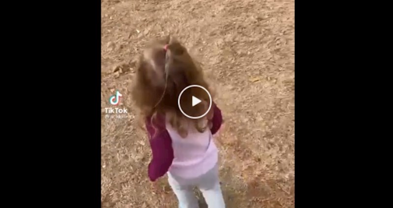 Otac je pokušao odvesti kćerkicu na piknik u park, iznenadit će vas što ih je otjeralo