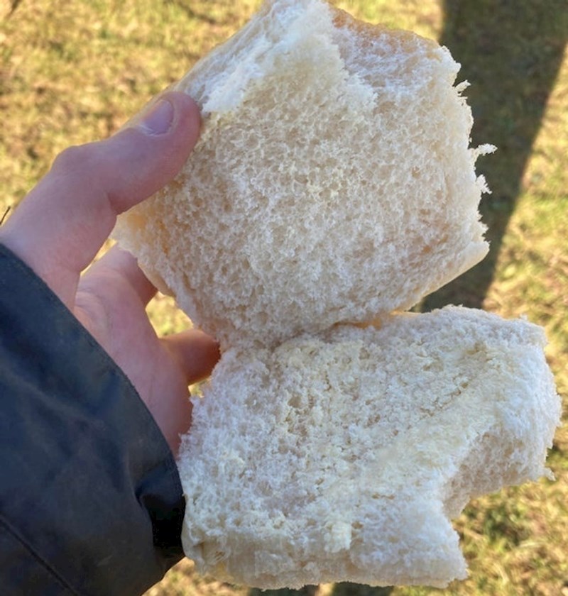 Naručio sam sendvič s tunom