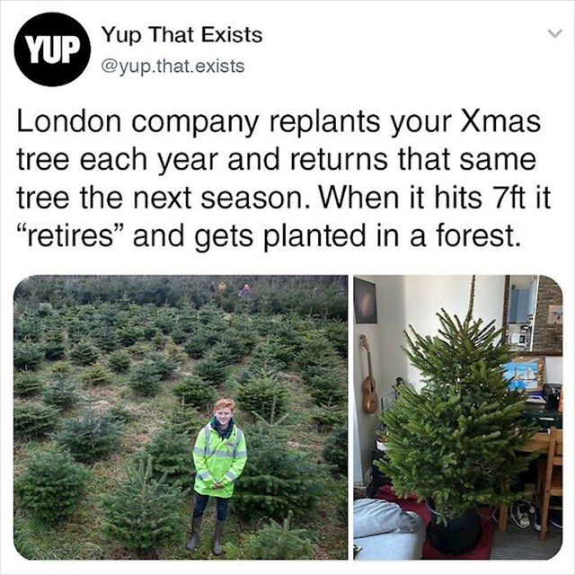 Tvrtka u Londonu presađuje vaše božićno drvce svake godine i vraća vam ga za Bpžić, sve dok ne dosegne određenu visinu nakon koje se umirovljuje i sadi u šumi