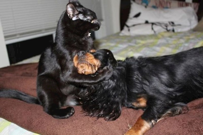 Ma tko ga tuče?? Samo ga grlim