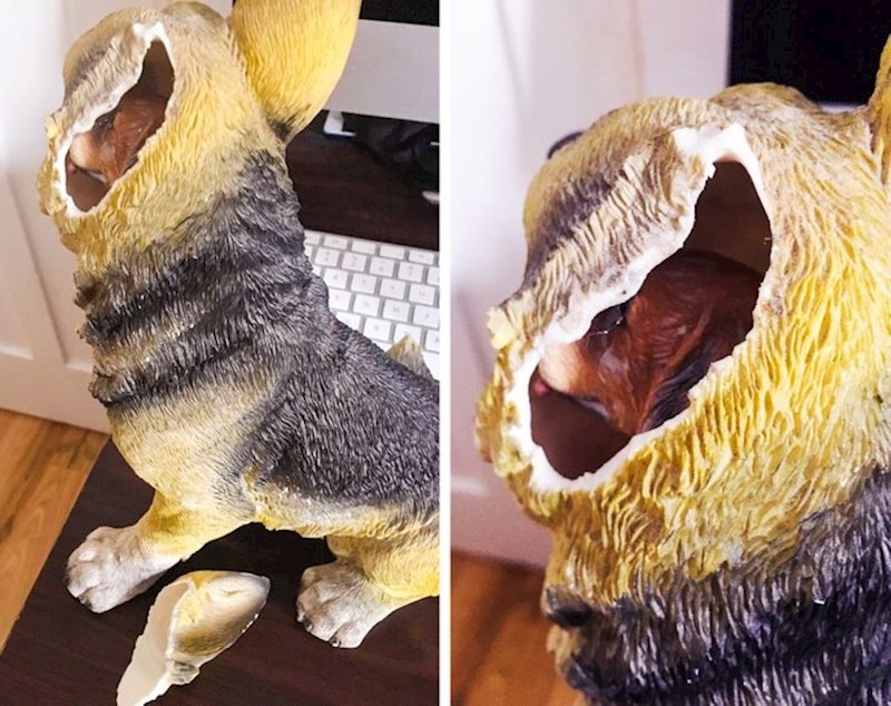 Prijatelj je razbio uhu skulpturi psa koji je u njihovoj kući već 20 godina i otkrio unutra još jednog psa; imam tisuću neodgovorenih pitanja