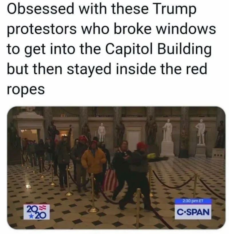 Ljudi su oduševljeni ruljom koja je upala u zgradu Kongresa, a onda se držala koridora za posjetitelje