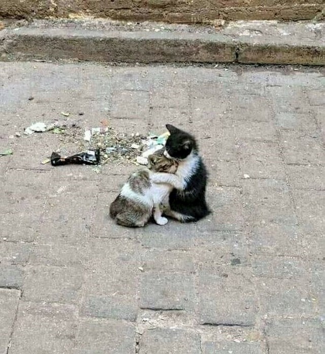 Prijatelj u nevolji
