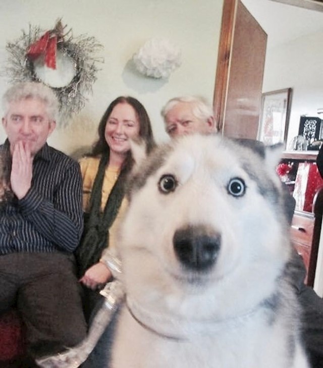 Nije bio pozvan na obiteljsku fotku pa je odlučio napraviti nešto po tom pitanju