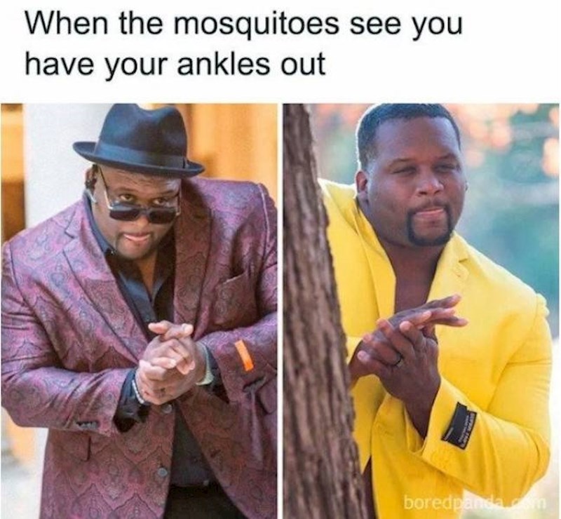 Komarci kad vide 2 slobodna centimetra na mom gležnju