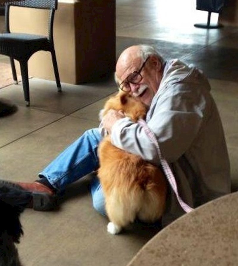 Moj korgi uveseljava random djedicu u kafiću