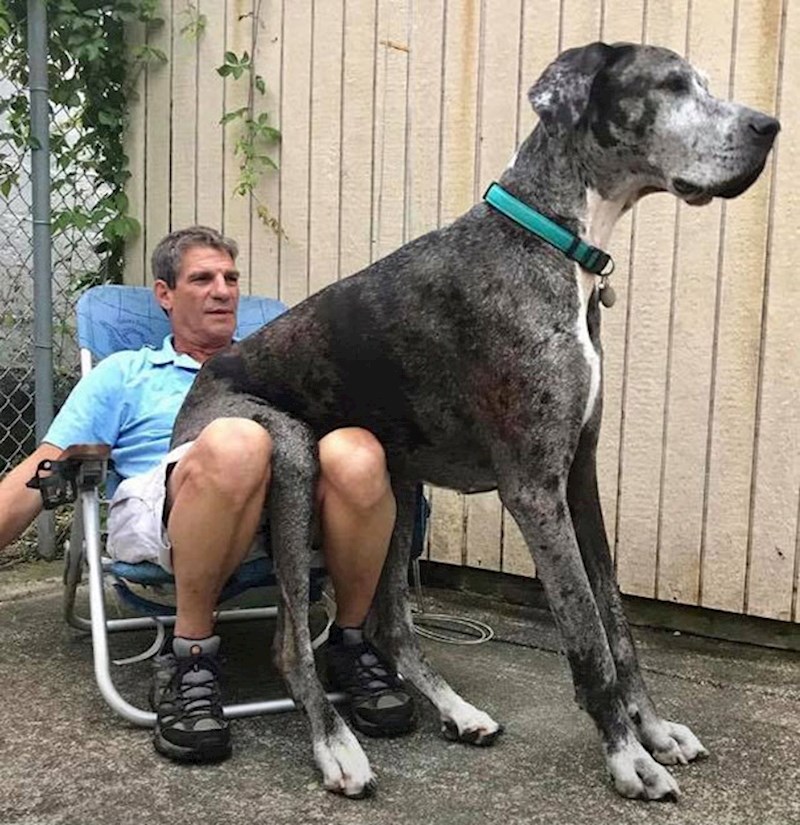 Sjedi, udobno se smjesti