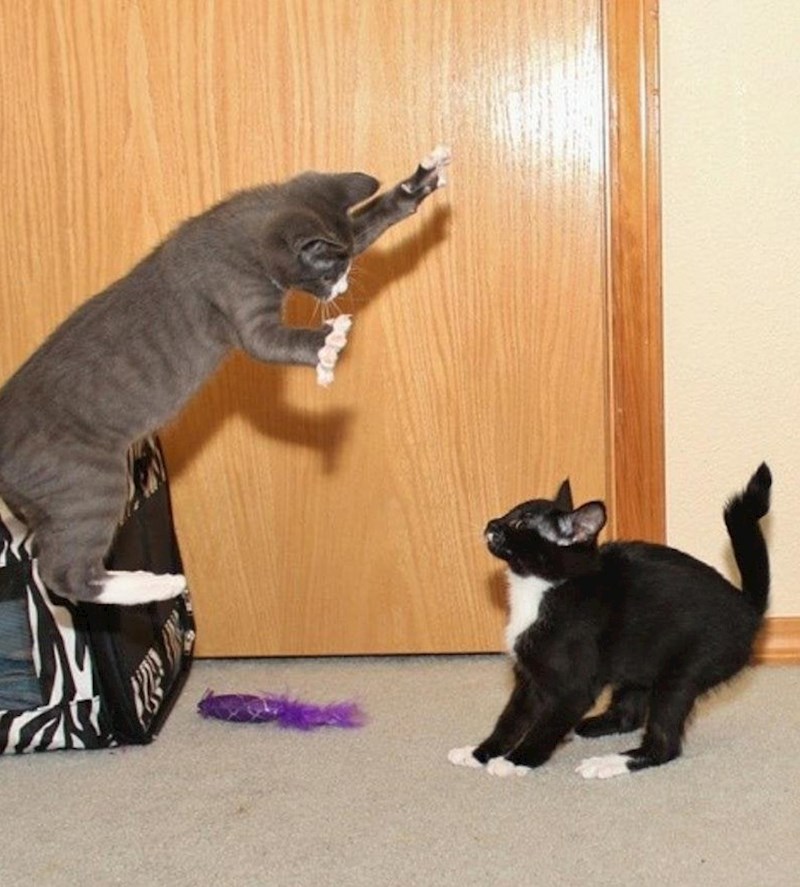 Tko zna kako je izgledao trenutak poslije