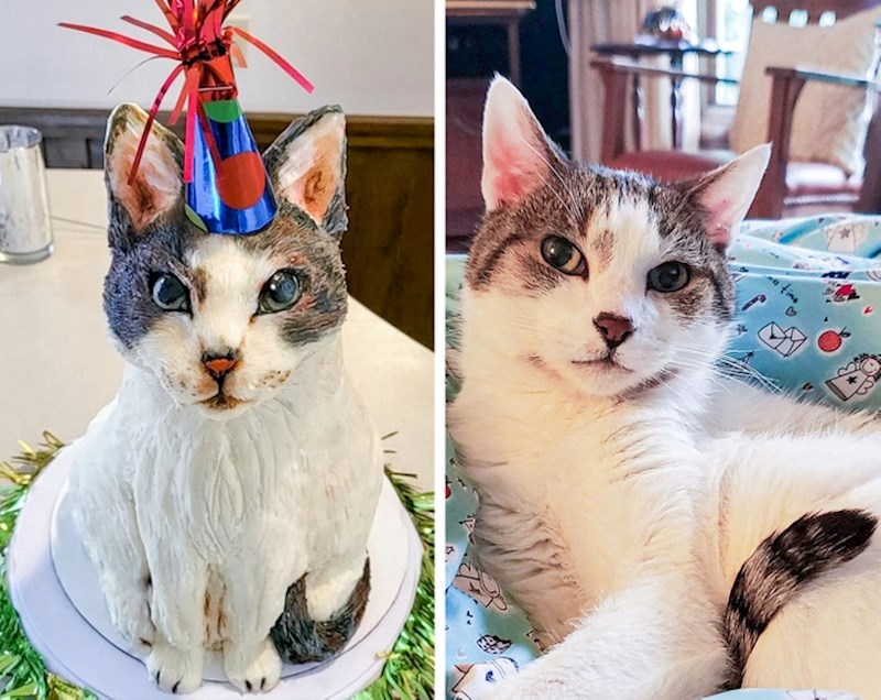 Napravila sam sestri tortu u obliku njene mace (jedino nam nije jasno tko će se usuditi zabiti nož u nju)